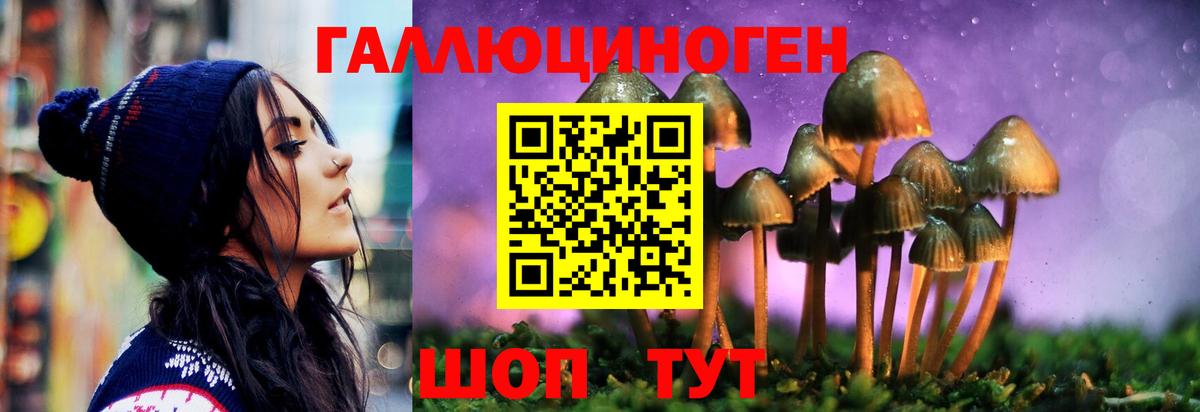 Псилоцибиновые грибы Cubensis  Галлюциногенные грибы GOLDEN TEACHER  Вход с VPN  Благодарный 